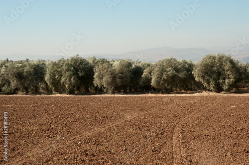 Galilee. North Israel .