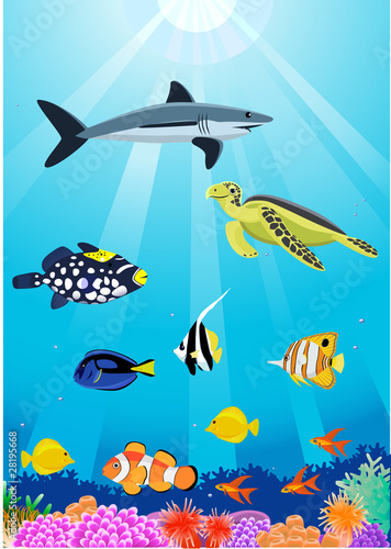 beautiful sealife