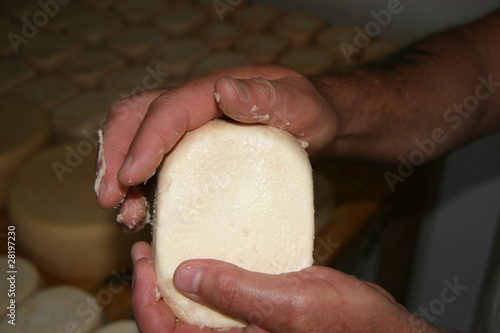 Fabrication fromage fermier en Corse