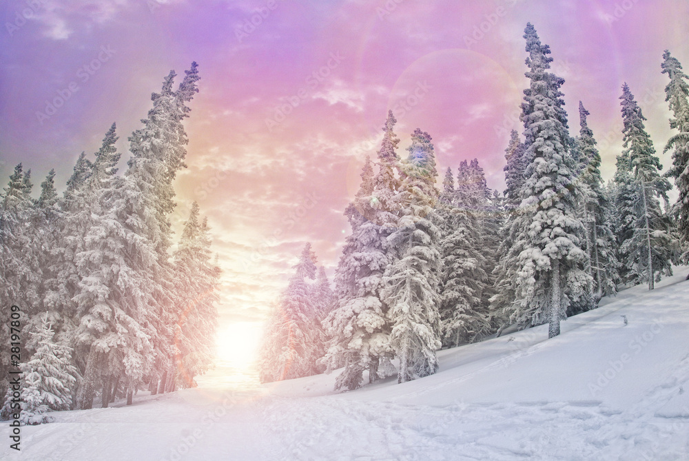 Obraz premium majestic sunset in the winter mountains landscape
