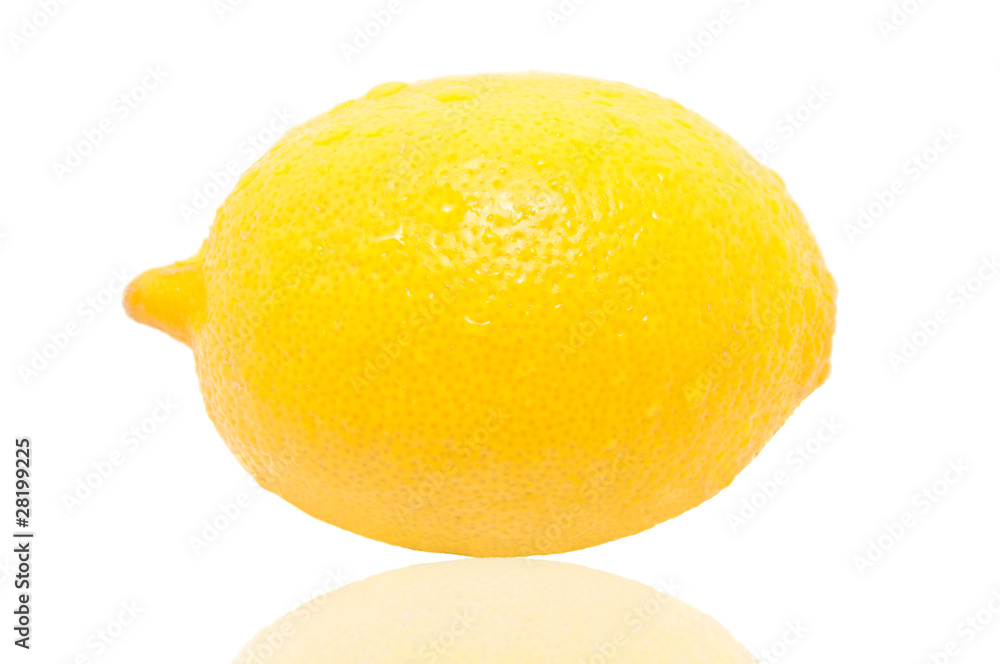 Studio shot of the lemon on white background Studio shot of the lemon on white background