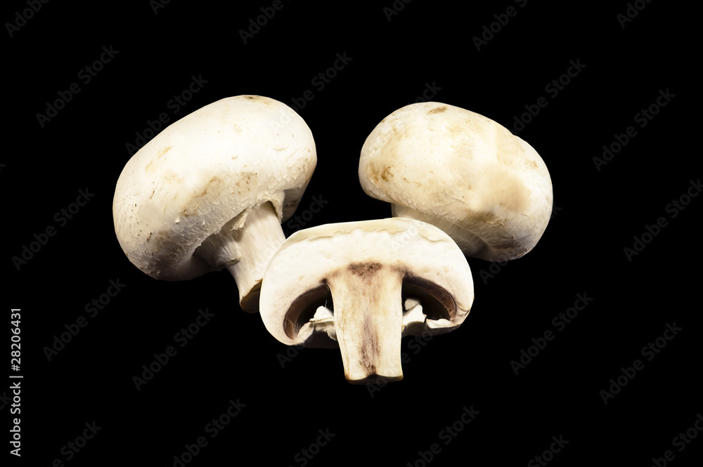 mushrooms mushrooms