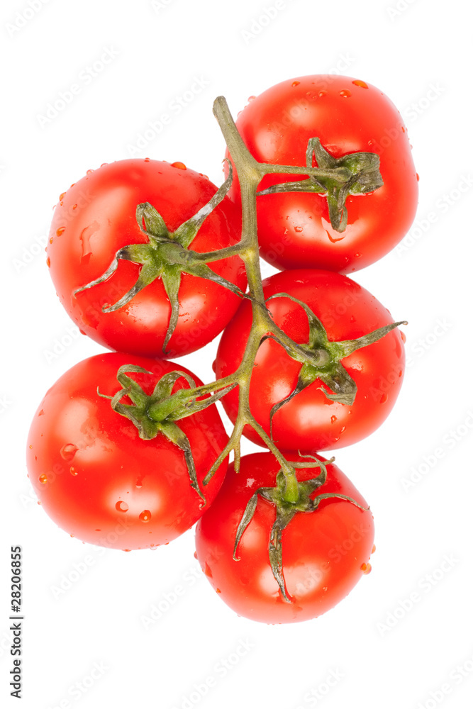 red tomatoes red tomatoes