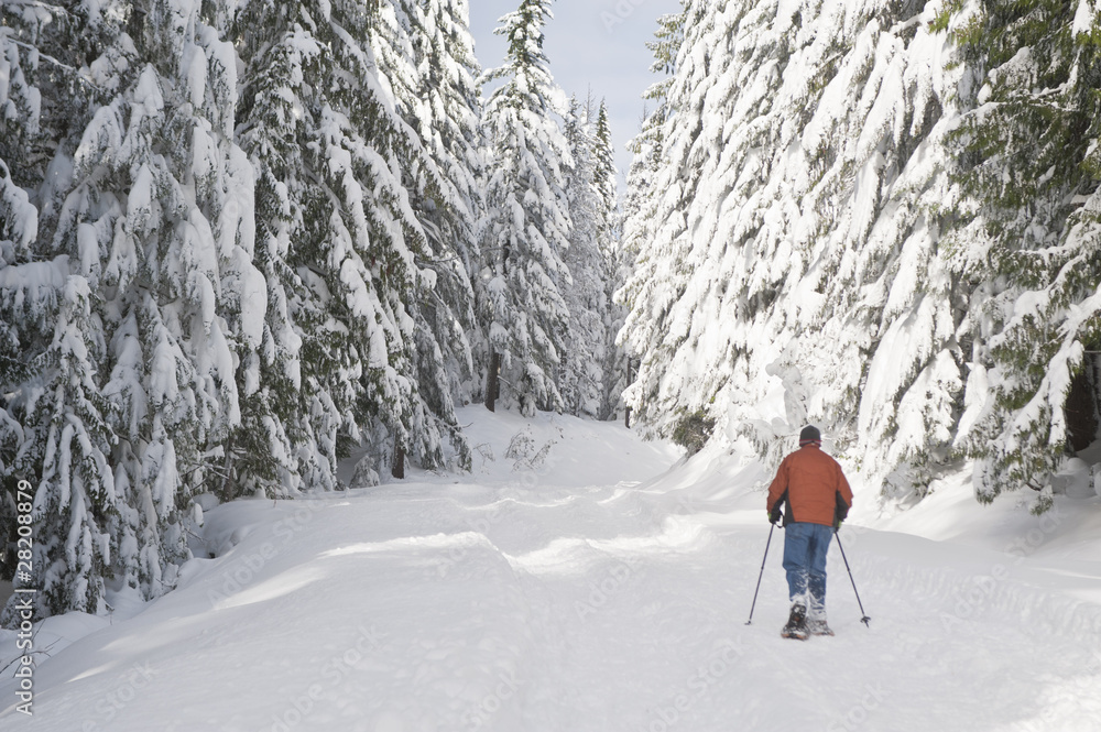 Person snowshoeing in winter landscape
