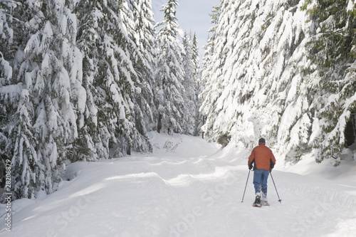 Obraz na plátně Person snowshoeing in winter landscape
