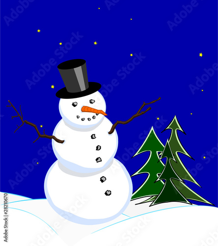 Snowman under starlit sky © majaan