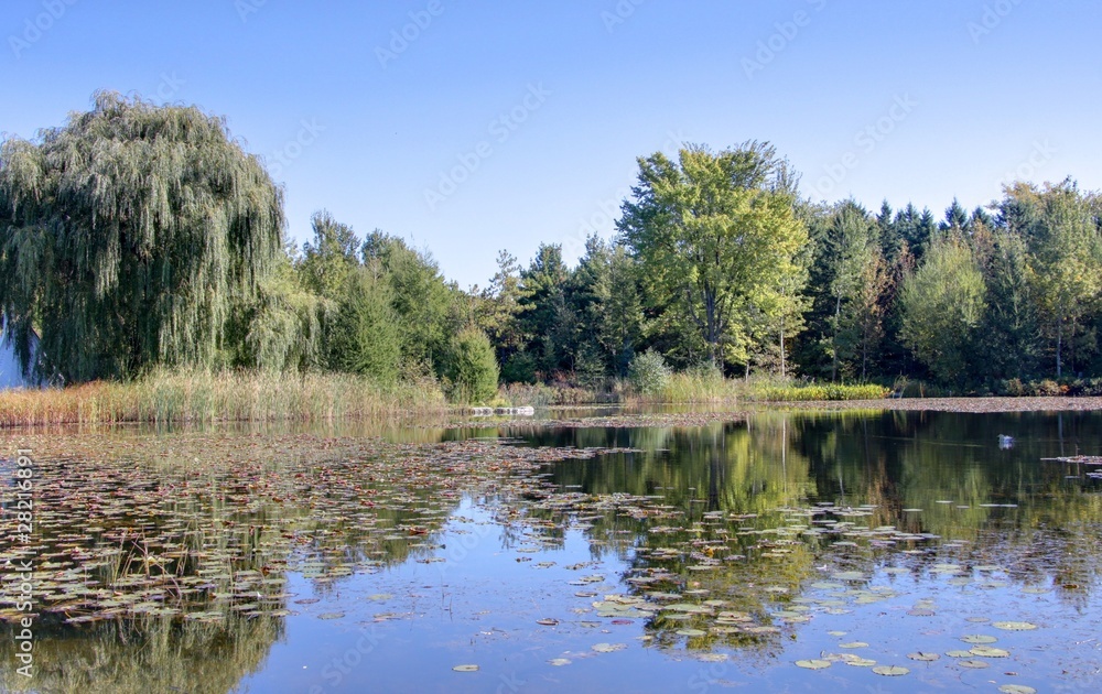 jardin botanique de montreal