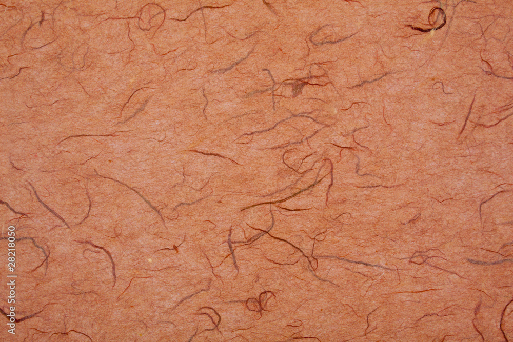 XXXL Full Frame Mulberry Paper Texture Wood Fiber Threads XXXL Full Frame Mulberry Paper Texture Wood Fiber Threads