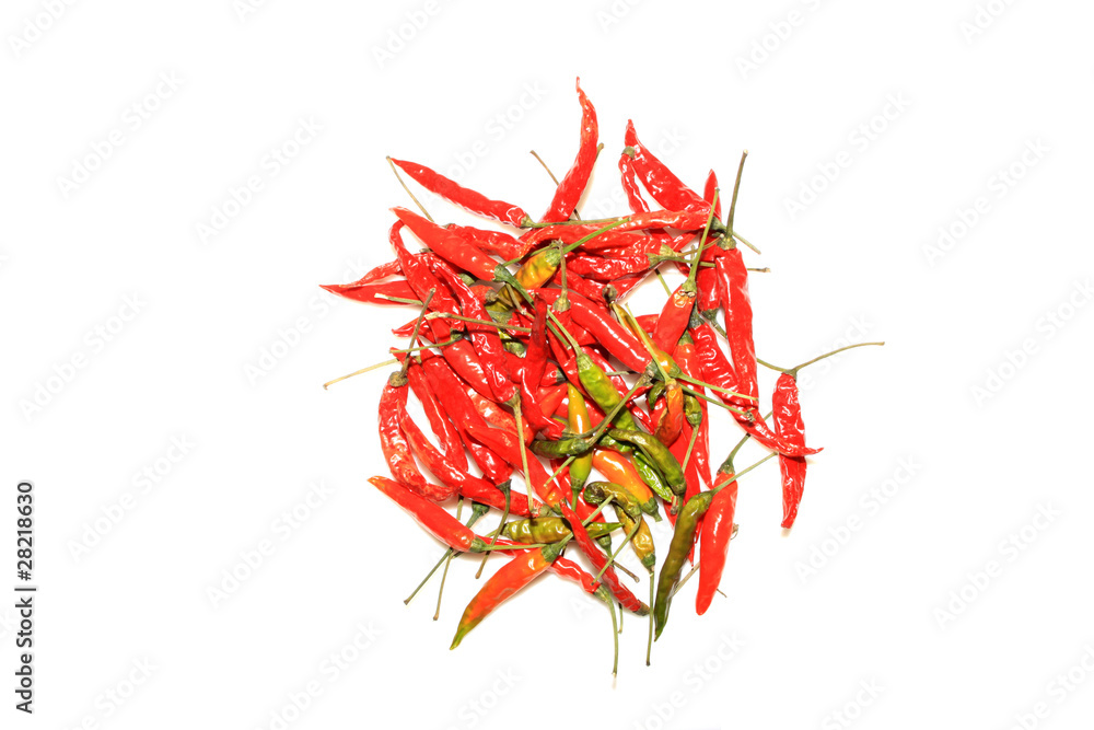 Obraz premium dry red chili