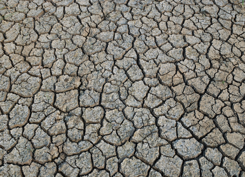 dry soil dry soil