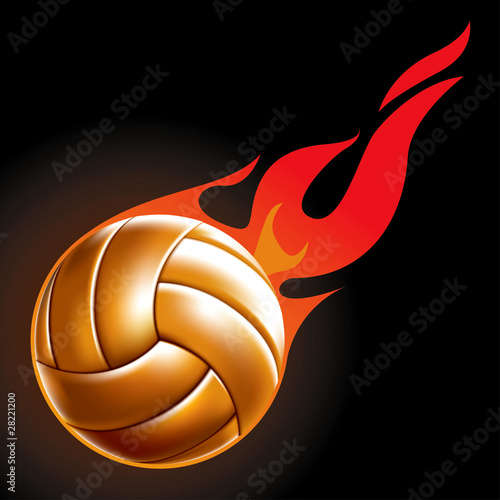 Volleyball Ball Set 4