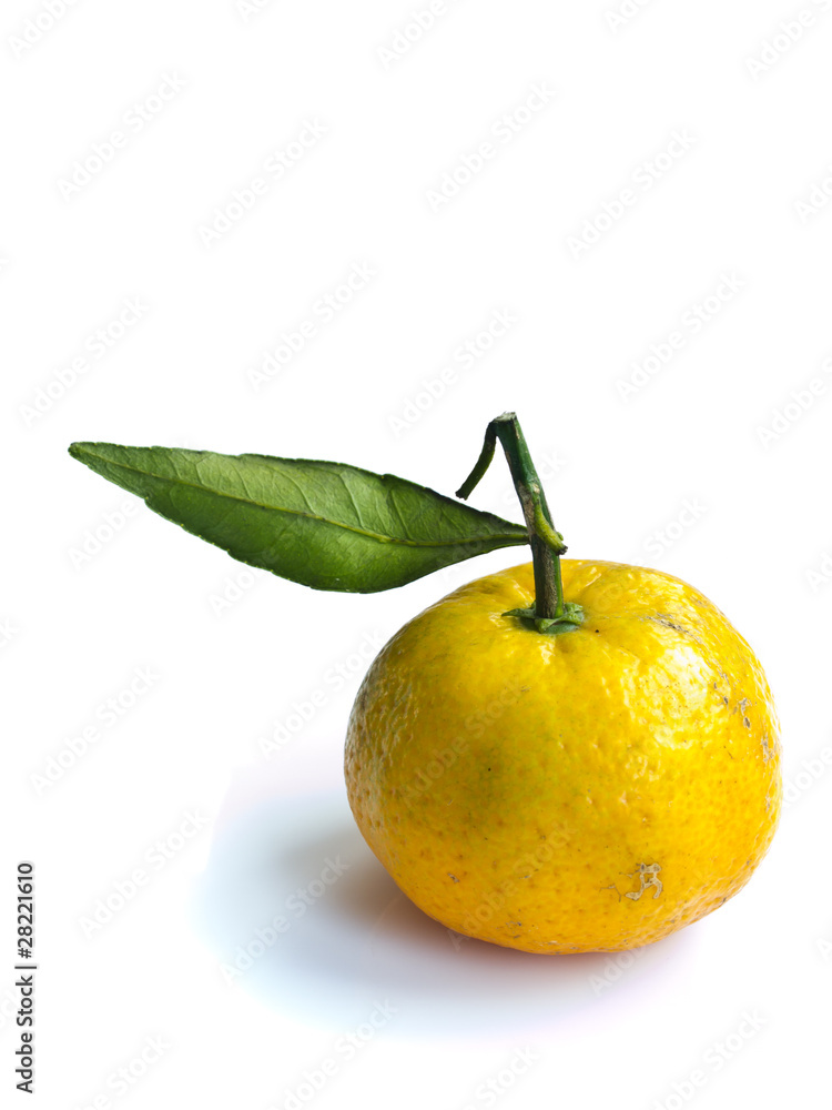 Kind of small yellow orange isolated on white background