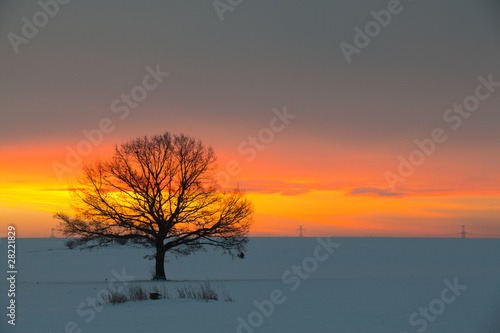 Sunrise on the field in winter © Radomir Rezny