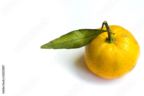Kind of small yellow orange isolated on white background