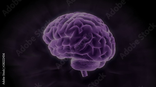 Gehirn - Background Animation
