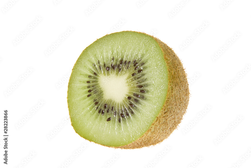 Kiwi 003 Kiwi 003