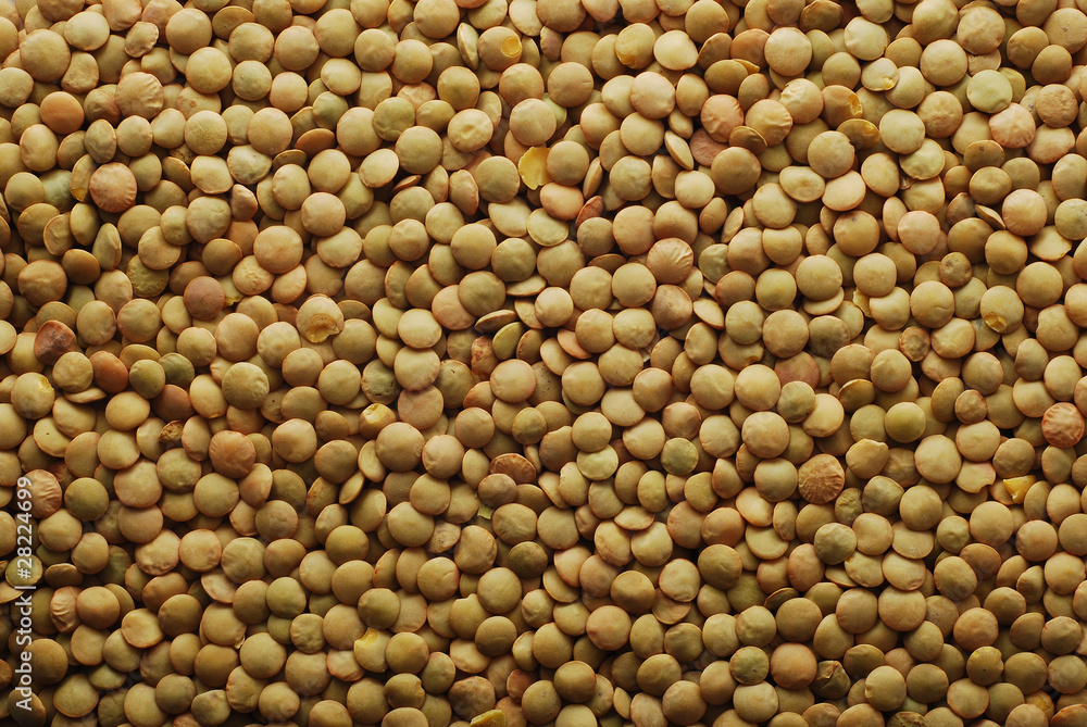 lentil lentil