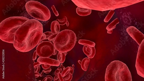 3d Blood circulation