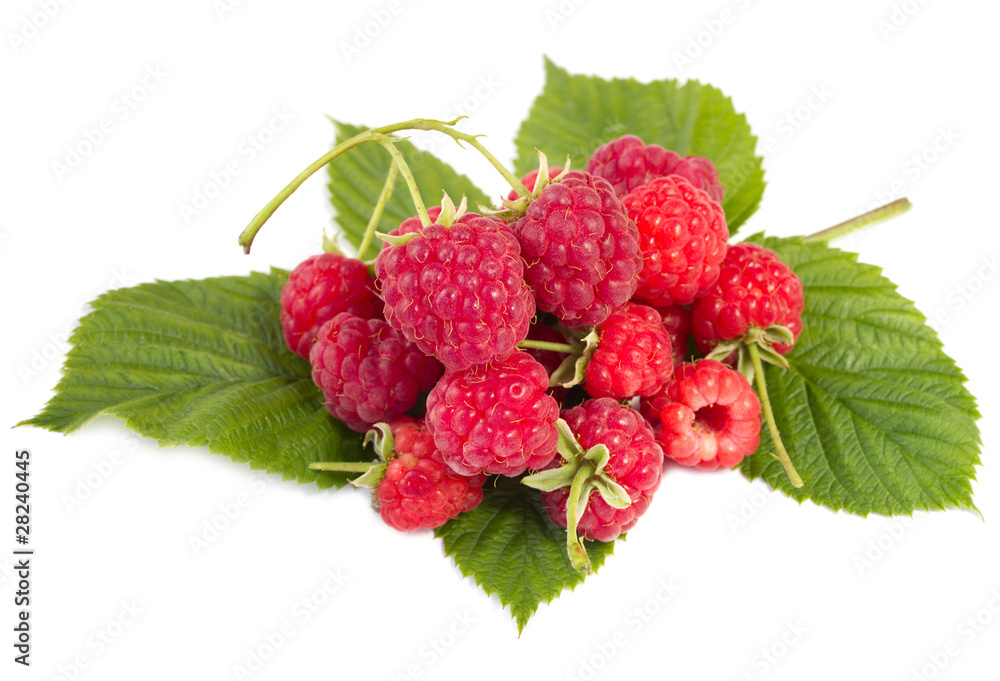 heap of ripe raspberries heap of ripe raspberries