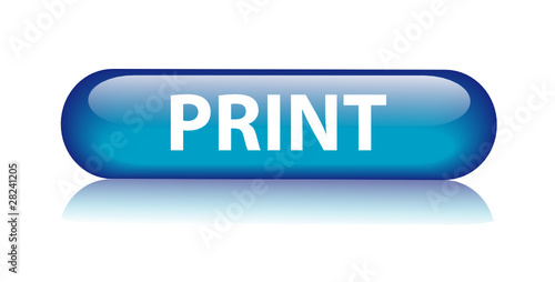 "PRINT" Web Button (printer printout now documents laser format)