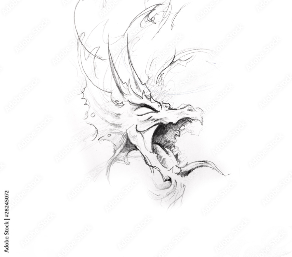 Fototapeta premium Tattoo art, sketch of a dragon