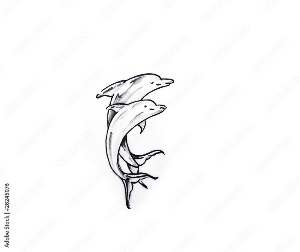 Fototapeta premium Tattoo art, sketch of a dolphin