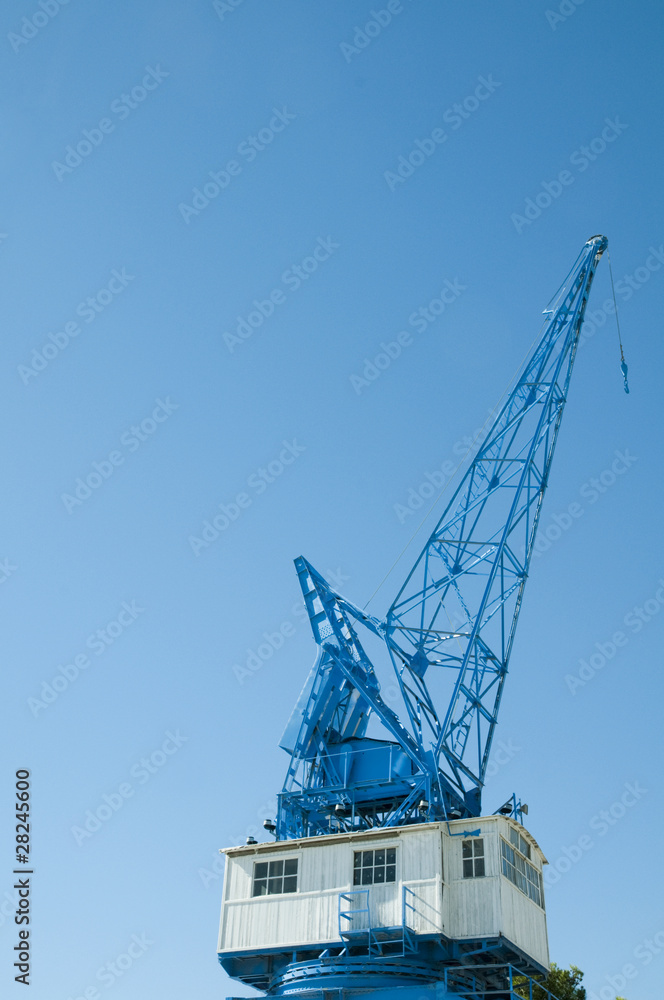 blue crane against blue skies
