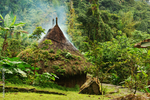 Small kogi hut in Northern Colombia photo