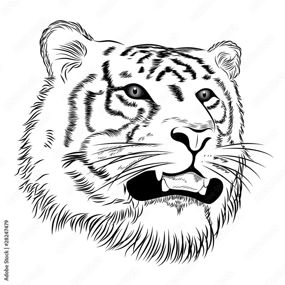 Fototapeta premium Vector tiger represented in the form of a tattoo