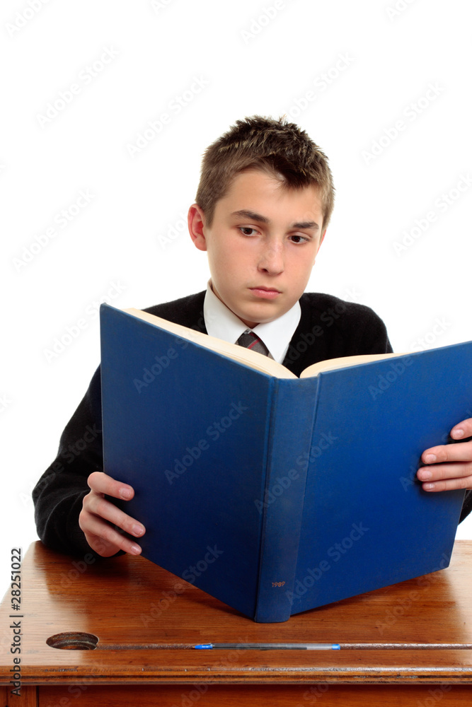Student reading a text book Student reading a text book