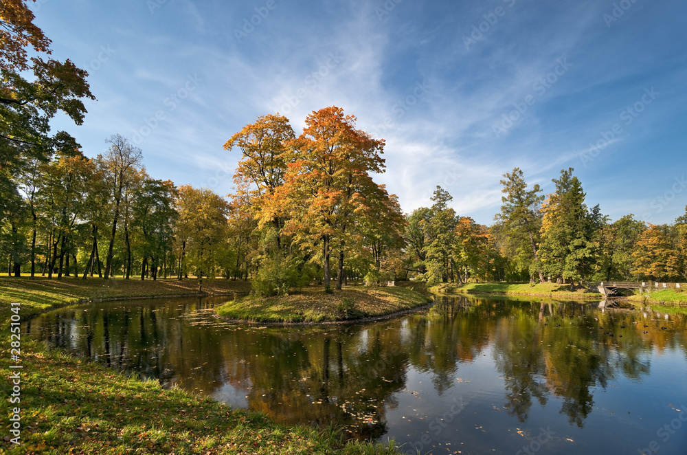 Fototapeta premium Autumn in the beautiful park