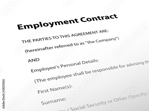Employment Contract (document human resources job employee form)
