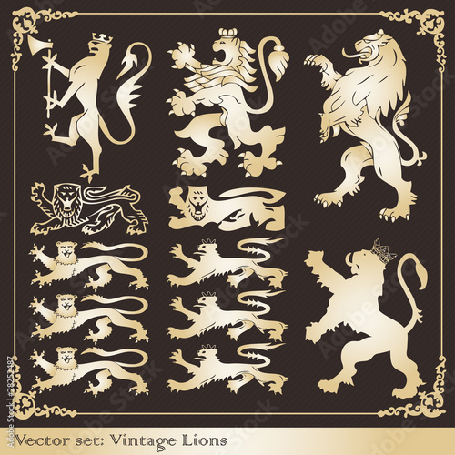 Silhouettes of gold heraldic lions