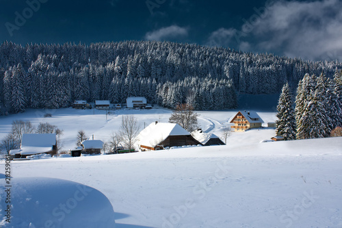 Winterlandschaft © Roland Hoffmann
