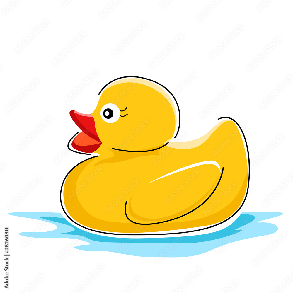 duck in water duck in water