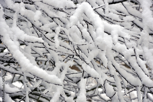 Foto tempête de neige 08