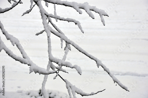 Foto tempête de neige 06