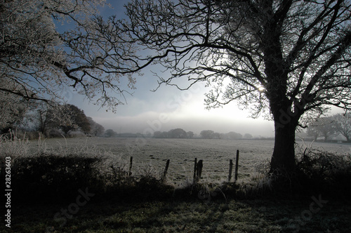 Winters frozen field