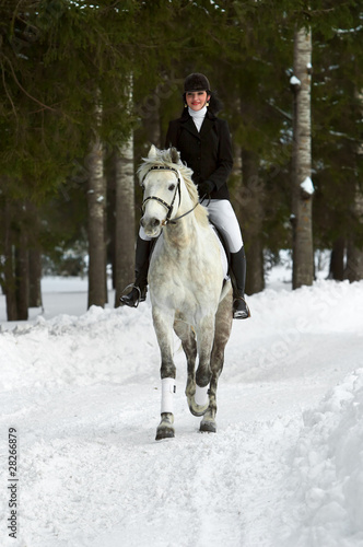 woman at the horse photo