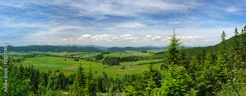 Summer panorama