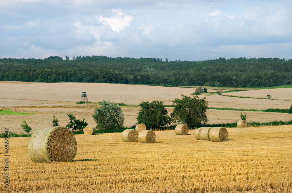 Fototapeta premium Landscape witch stacks