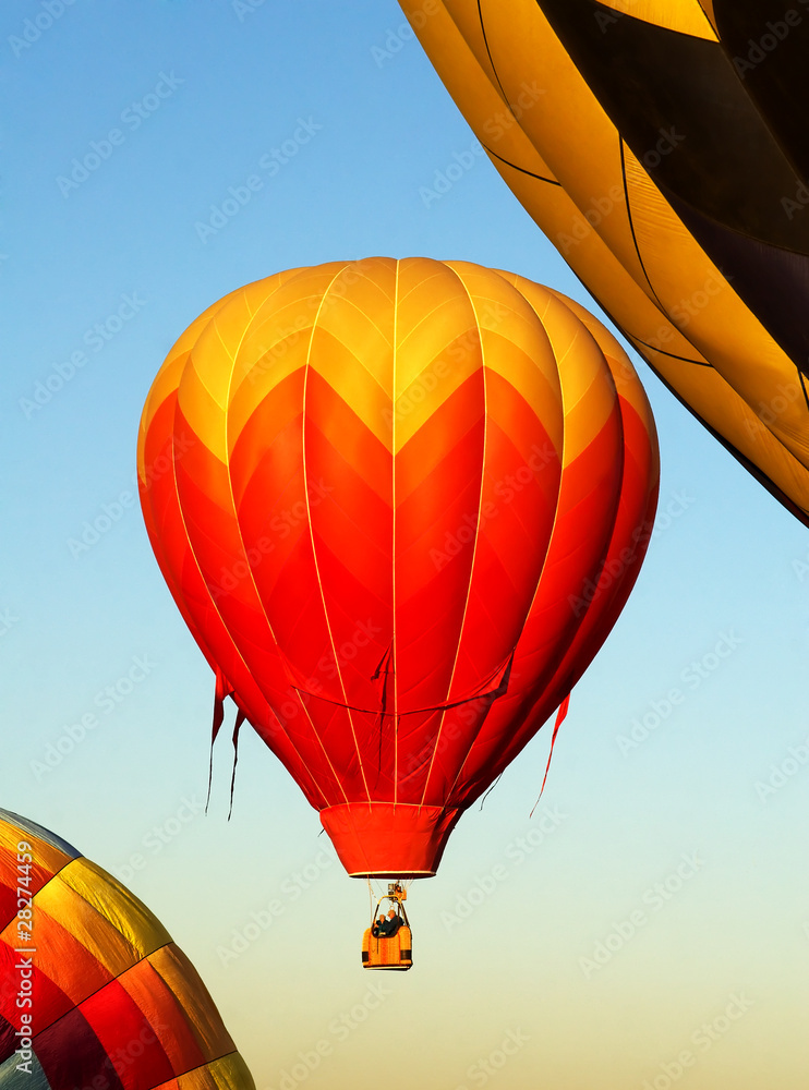Fototapeta premium Hot Air Balloon