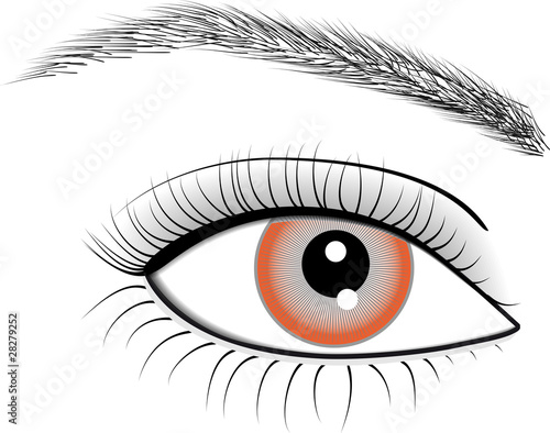 Illustration of eye of woman