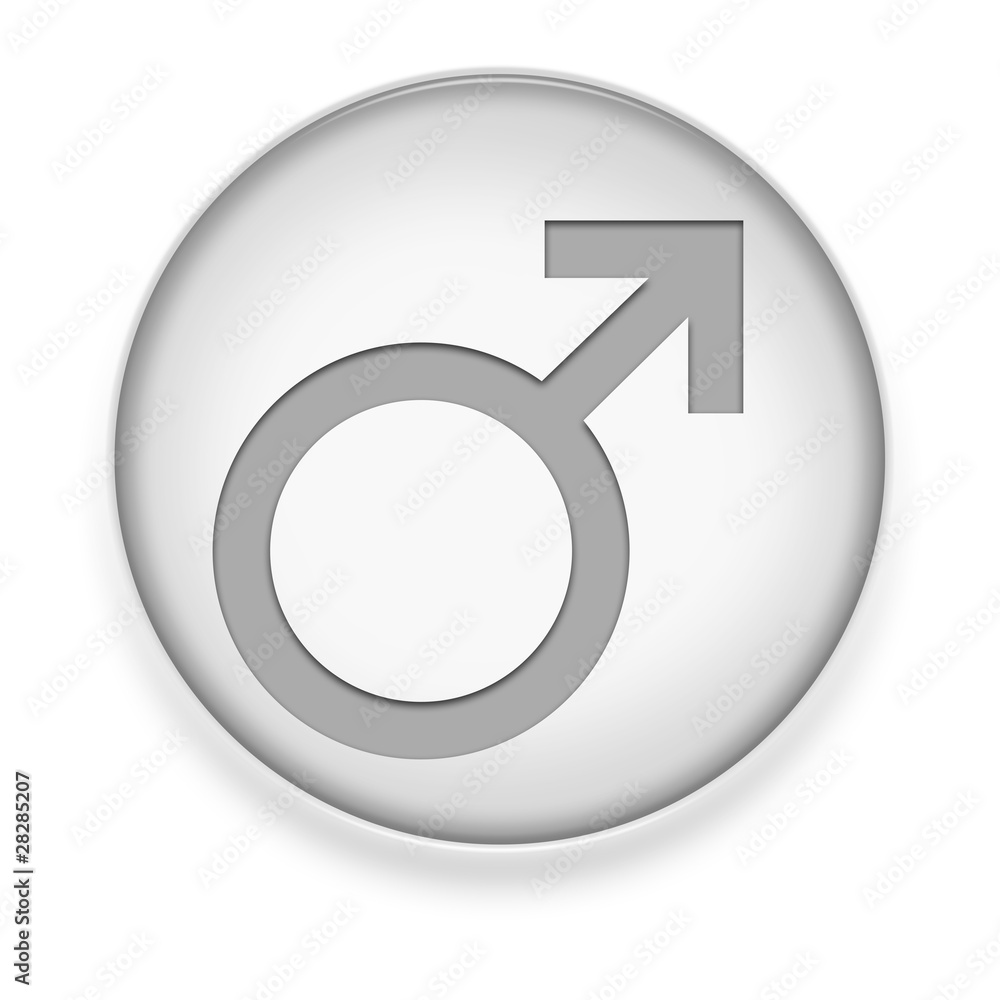 White Button / Icon White Button / Icon