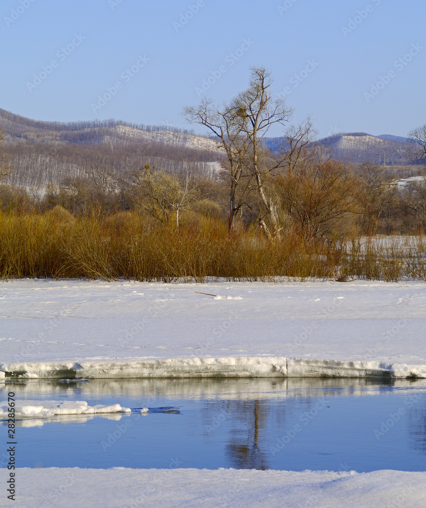 On the bank of spring river