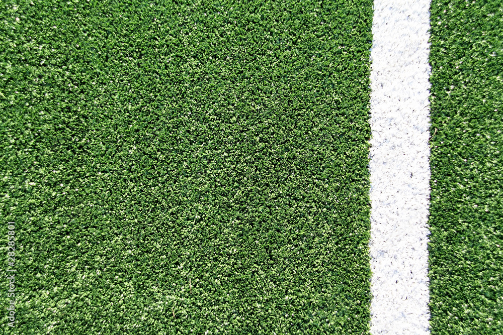 Fototapeta premium Fake grass soccer field