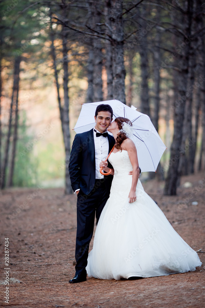 wedding couple happy together at the forest wedding couple happy together at the forest