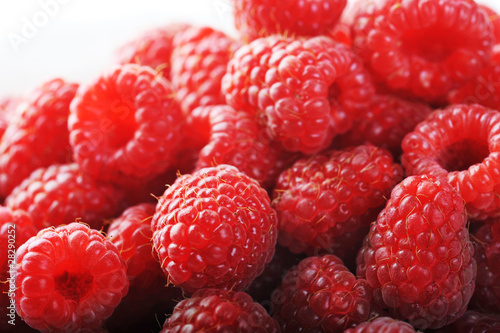 Ripe red raspberries