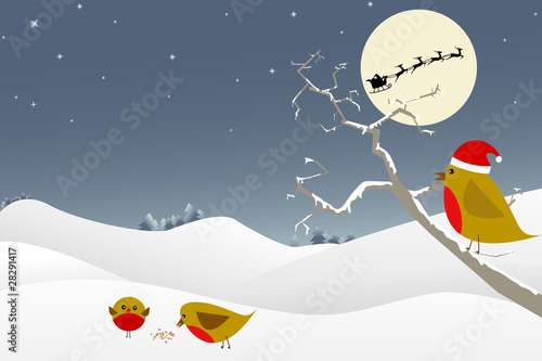 Winter / christmas scene