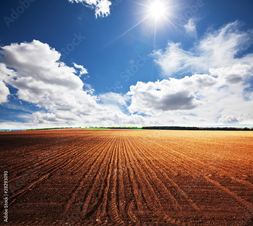 Field © Galyna Andrushko